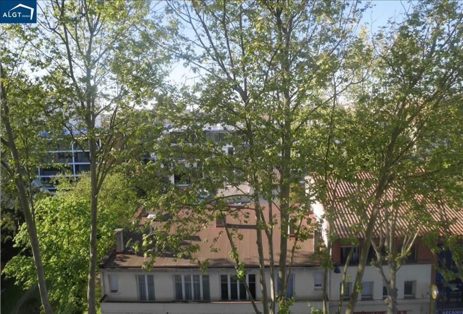 Image_, Appartement, Toulouse, ref :00038
