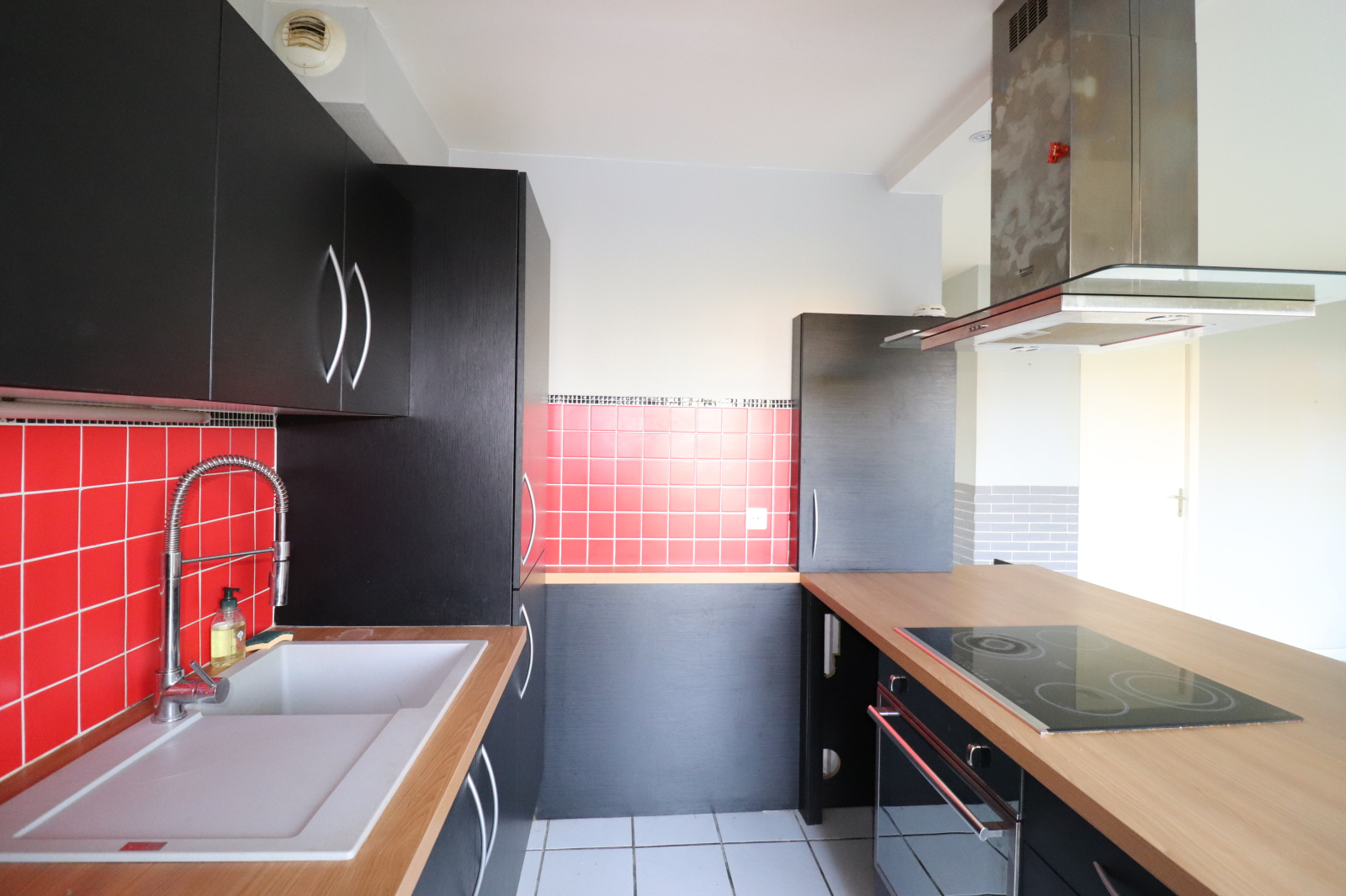 Image_, Rez de jardin, Tournefeuille, ref :L10031065
