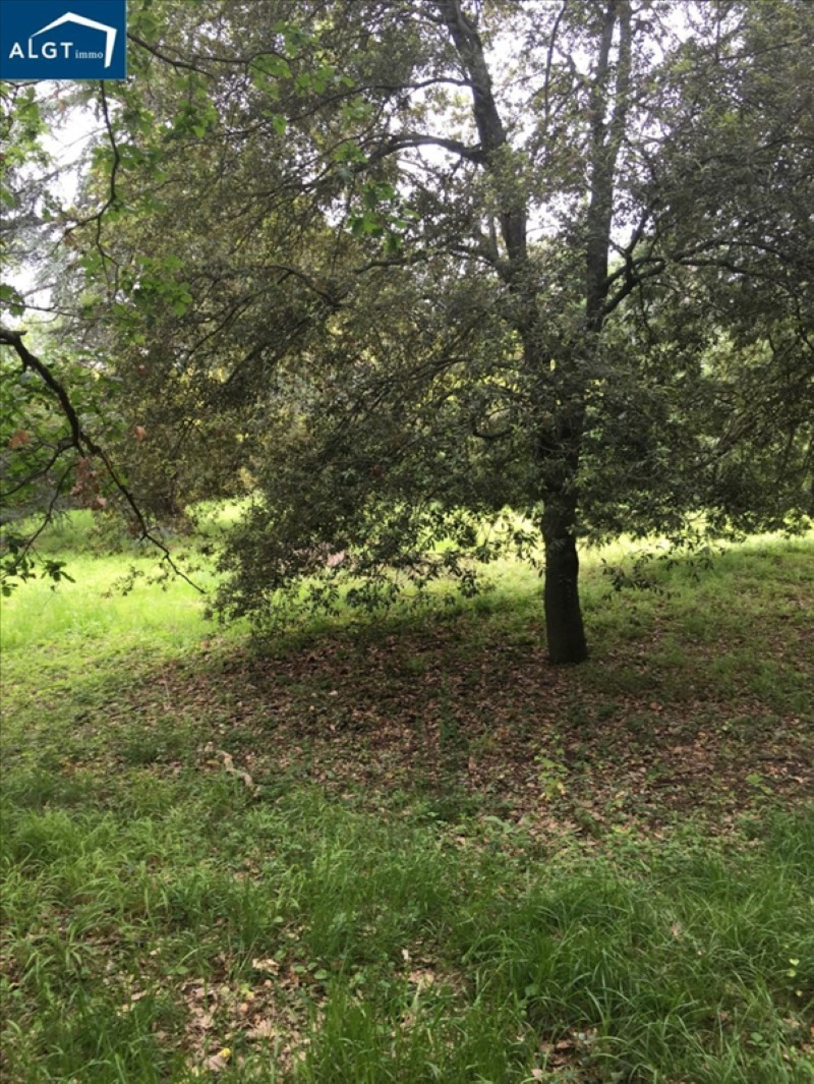 Image_, Terrain, Roques, ref :00390