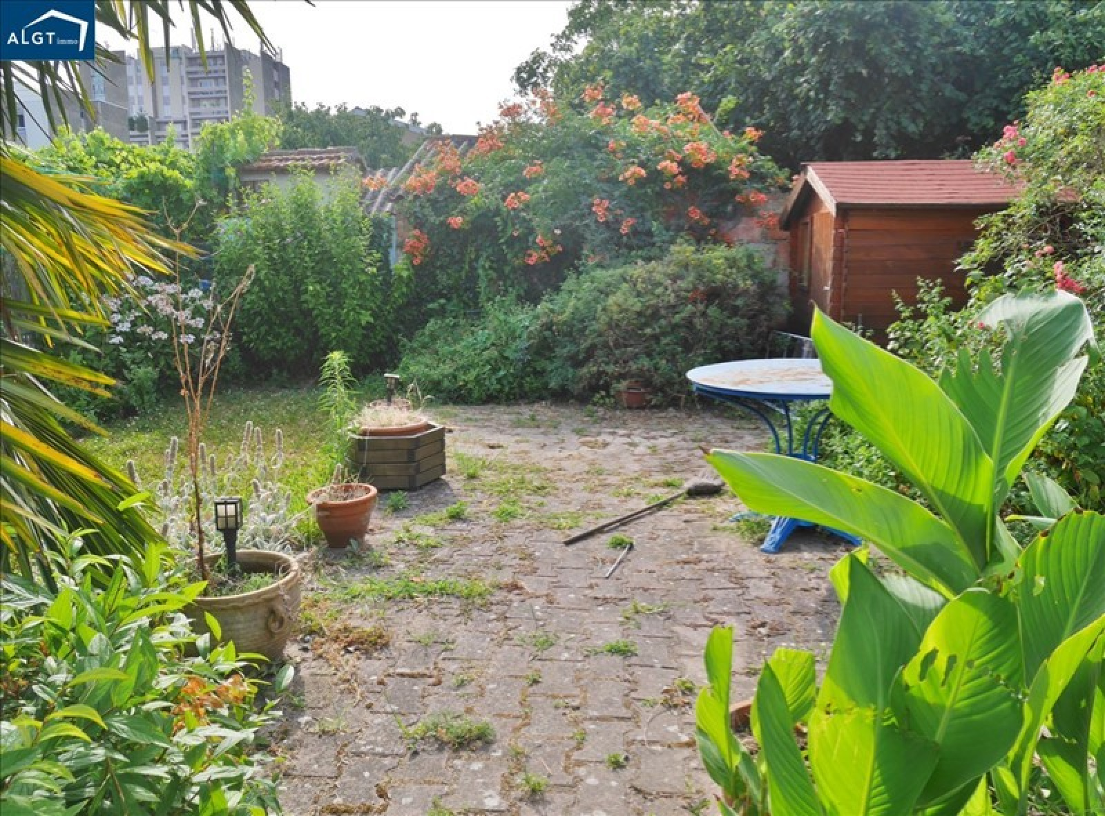 Image_, Maison, Colomiers, ref :00303