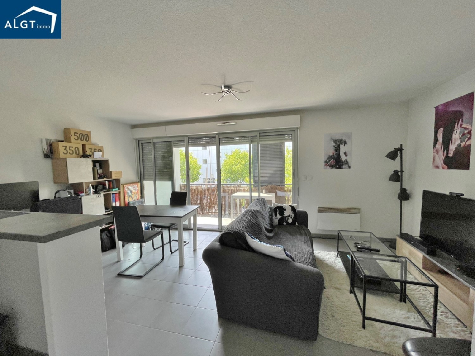 Image_, Appartement, Blagnac, ref :V10025079